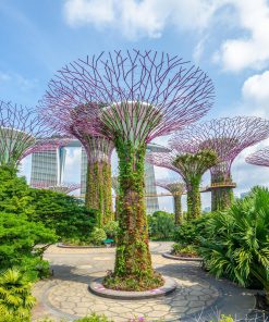 Tour Hà Nội - Singapore - Malaysia 5N4Đ | ATOZ TOUR
