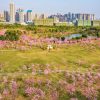 Tour Hà Nội - Nam Ninh - Quế Lâm - Dương Sóc | ATOZ TOUR