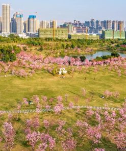 Tour Hà Nội - Nam Ninh - Quế Lâm - Dương Sóc | ATOZ TOUR