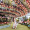 Tour Hà Nội - Singapore - Sentosa 4N3Đ | ATOZ TOUR