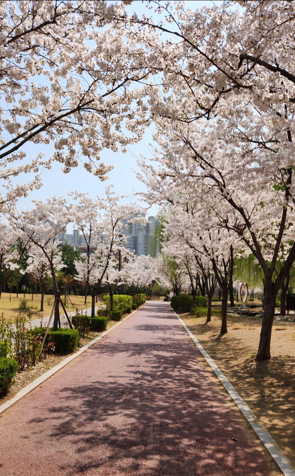 Công viên Misa (Misa Hangang Park) atoz tour
