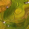 Tour Hà Nội - Mù Cang Chải 2 Ngày 1 đêm | ATOZ TOUR