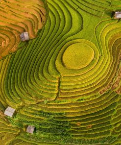 Tour Hà Nội - Mù Cang Chải 2 Ngày 1 đêm | ATOZ TOUR