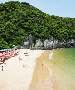 Tour Hà Nội - Đảo Ngọc Cát Bà - Vịnh Lan Hạ 3N2Đ | ATOZ TOUR