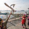 Tour Busan- Seoul - Nami - Trượt Tuyết Elysian | ATOZ TOUR