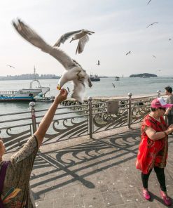 Tour Busan- Seoul - Nami - Trượt Tuyết Elysian | ATOZ TOUR
