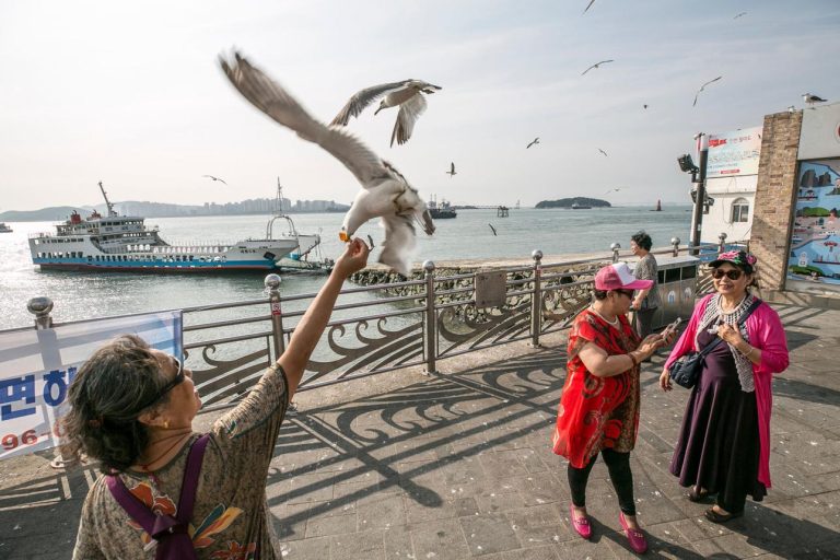 Tour Busan- Seoul - Nami - Trượt Tuyết Elysian | ATOZ TOUR