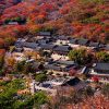 Tour Busan - Tàu Ven Biển - Seoul - Nami | ATOZ TOUR