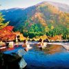 Tour Asahikawa - Sapporo - Tokyo | ATOZ TOUR