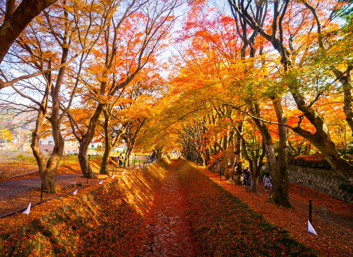HÀ NỘI – NARA - OSAKA – KYOTO - LÀNG CỔ SHIRAKAWA - MATSUMOTO – NÚI PHÚ SĨ – TOKYO - atoztour - 1