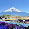 Tour Osaka - Kyoto Nagoya - Núi Phú Sỹ - Tokyo | ATOZ TOUR