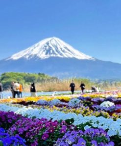 Tour Osaka - Kyoto Nagoya - Núi Phú Sỹ - Tokyo | ATOZ TOUR