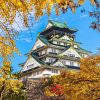 Tour Osaka - Kyoto - Phú Sĩ - Tokyo | ATOZ TOUR