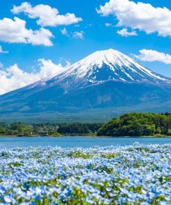 Tour Osaka - Kyoto - Phú Sĩ - Tokyo | ATOZ TOUR