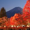 Tour Osaka - Kyoto - Phú Sĩ - Tokyo | ATOZ TOUR