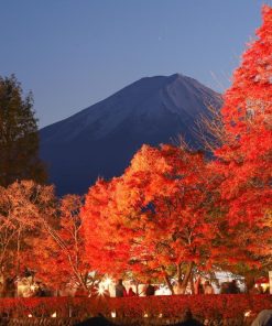 Tour Osaka - Kyoto - Phú Sĩ - Tokyo | ATOZ TOUR