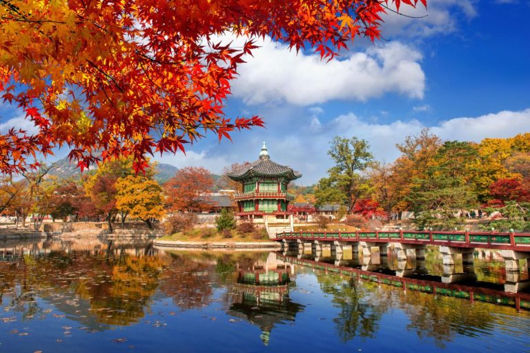 Tour Busan - Tàu Ven Biển - Seoul - Nami | ATOZ TOUR