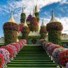 Tour Dubai – Miracle Garden- Abu Dhabi - atoztour - 2