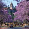 Tour Johannesburg - Pretoria - Game Lodge | ATOZ TOUR
