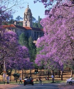 Tour Johannesburg - Pretoria - Game Lodge | ATOZ TOUR