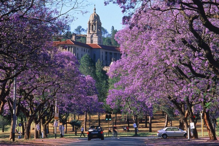 Tour Johannesburg - Pretoria - Game Lodge | ATOZ TOUR