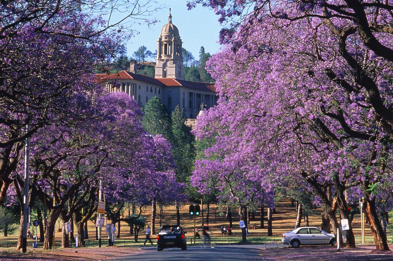 Tour Johannesburg - Pretoria - Game Lodge | ATOZ TOUR
