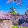 Tour Osaka – Kyoto – Phú Sĩ - Tokyo - atoztour - 1