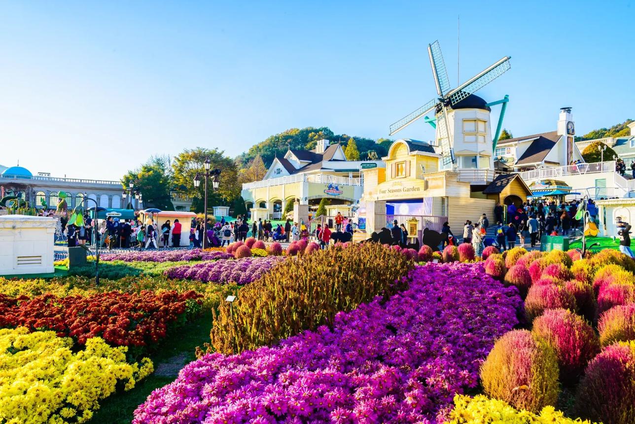 Tour Seoul – Nami – Everland – Thư Viện Starfield - Đại Học Kyung Hee - atoztour - 3