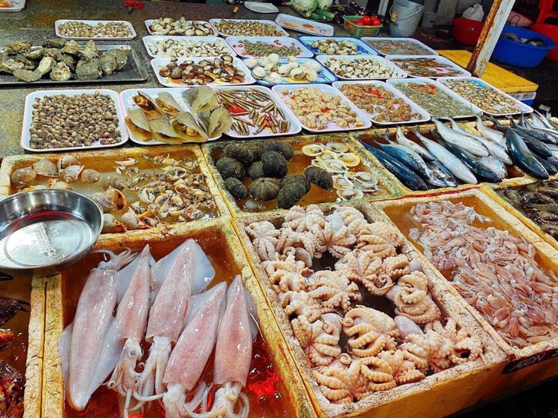 Tour Du Lịch Hà Nội – Hải Tiến Thanh Hoá - atoztour - 6