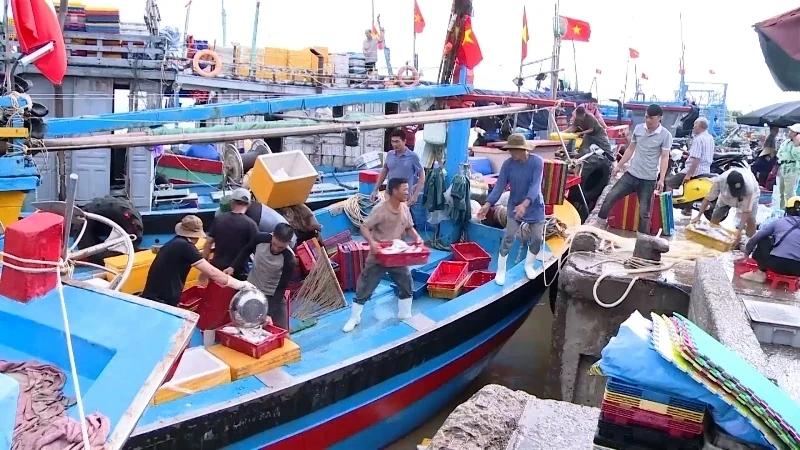Tour Du Lịch Hà Nội – Hải Tiến Thanh Hoá - atoztour - 4