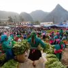 Tour Hà Nội - Hà Giang – Yên Minh – Lũng Cú – Lô Lô Chải- Mã Pí Lèng – Sông Nho Quế - Hẻm Tu Sản - Mèo Vạc Hà Nội - atoztour - 6