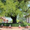 Tour Hà Nội - Quy Nhơn - Phú Yên - atoztour - 1