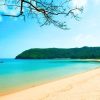 Tour Hà Nội - Cần Thơ - Sóc Trăng - Côn Đảo | ATOZ TOUR