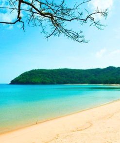 Tour Hà Nội - Cần Thơ - Sóc Trăng - Côn Đảo | ATOZ TOUR