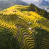 Tour Hà Nội – Đồi Chè Thanh Sơn – Mù Cang Chải – Hà Nội - atoztour - 6