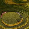 Tour Hà Nội – Đồi Chè Thanh Sơn – Mù Cang Chải – Hà Nội - atoztour - 4