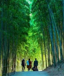 Tour Hà Nội - Đồi Chè Thanh Sơn - Mù Cang Chải | ATOZ TOUR